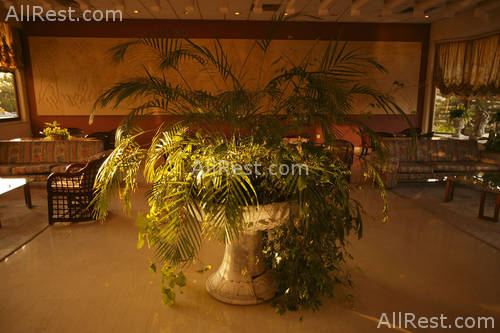 Ajax Hotel 7